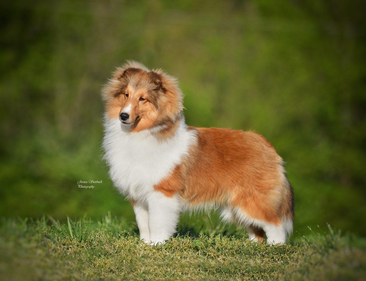 Ethan-2024-ASSA-National-PurinaFarms